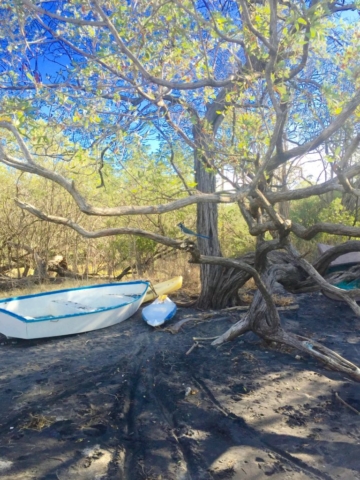 A "docked" fishing boat along Costa Rica's Pacific Coast